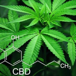 cbd-2